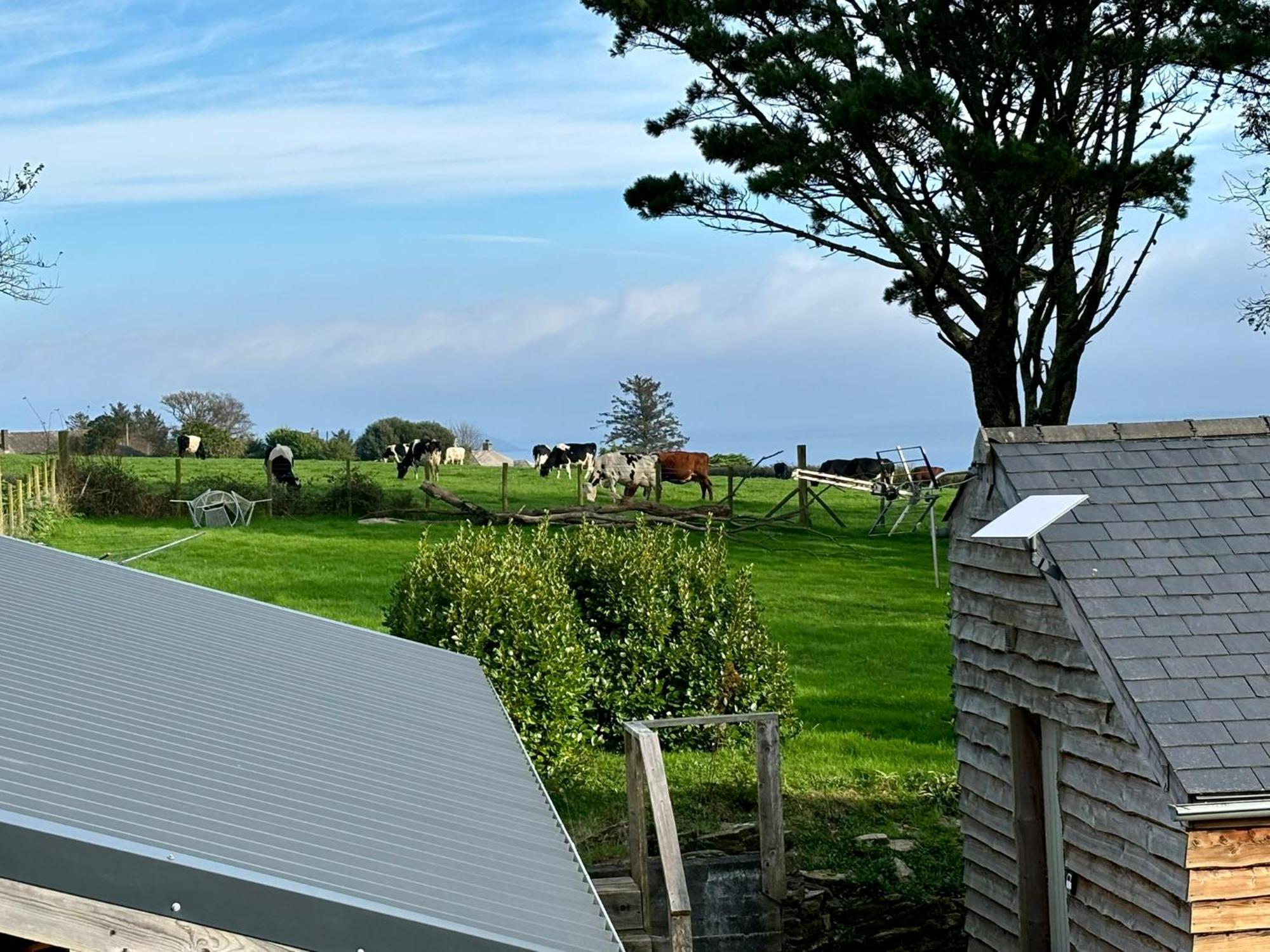 Little Bream - Pretty Cosy Cottage, Sea Views, Walk To The Beach Mawnan Smith Zewnętrze zdjęcie