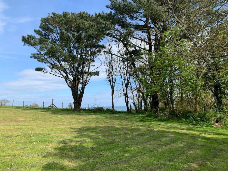 Little Bream - Pretty Cosy Cottage, Sea Views, Walk To The Beach Mawnan Smith Zewnętrze zdjęcie